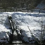 Reinskopf In Der Eifel *