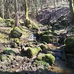 Alpesi faház Reinskopf In Der Eifel