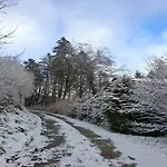 Reinskopf In Der Eifel Alpesi faház