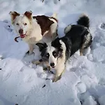 Reinskopf In Der Eifel