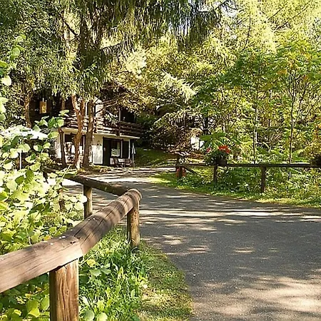 Reinskopf In Der Eifel Шале Schonecken