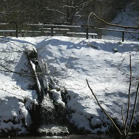 Reinskopf In Der Eifel *