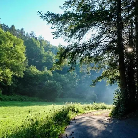 Шале Reinskopf In Der Eifel