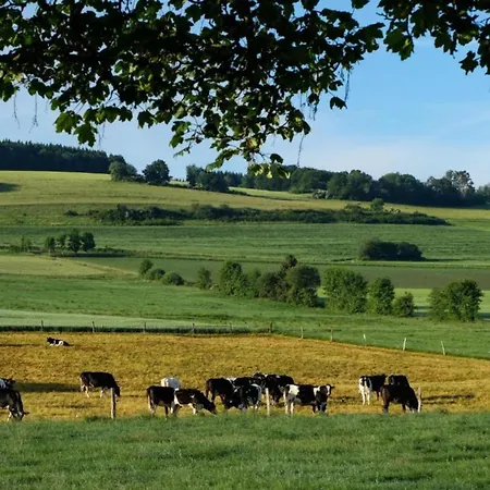 Шале Reinskopf In Der Eifel Schonecken