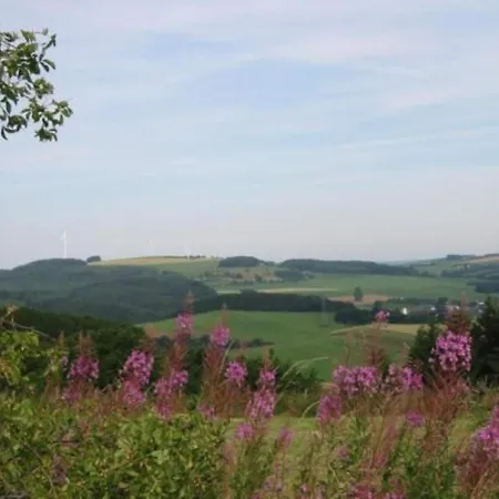Reinskopf In Der Eifel Шале *