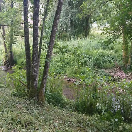 Шале Reinskopf In Der Eifel *