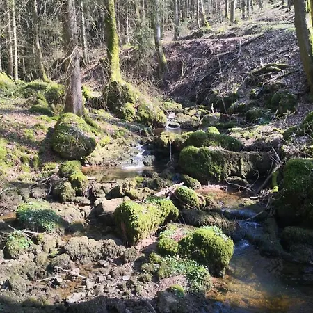 Шале Reinskopf In Der Eifel