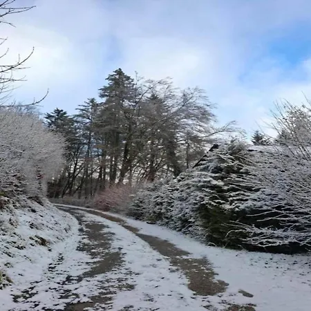 Reinskopf In Der Eifel Шале