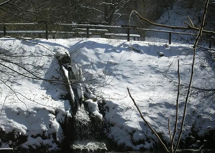 Reinskopf In Der Eifel *