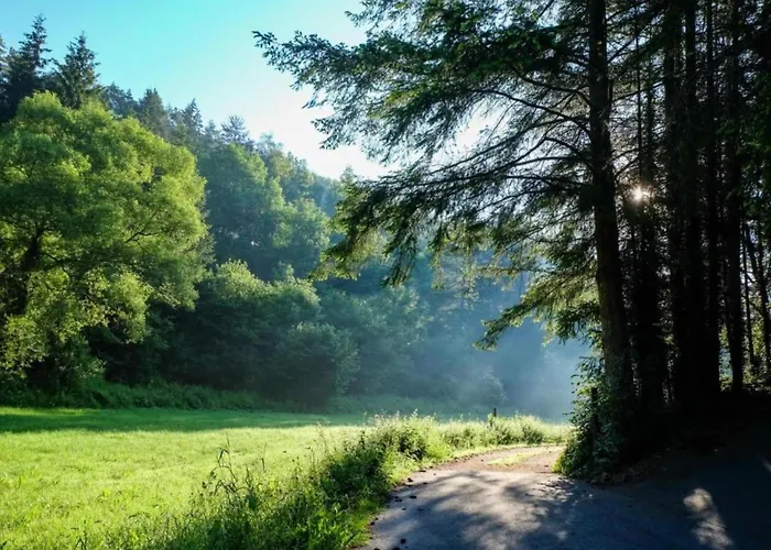Dağ evi Reinskopf In Der Eifel
