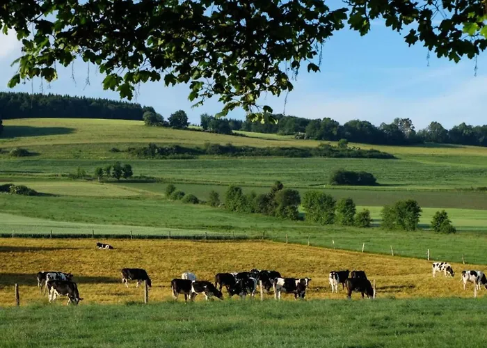 Dağ evi Reinskopf In Der Eifel Schönecken