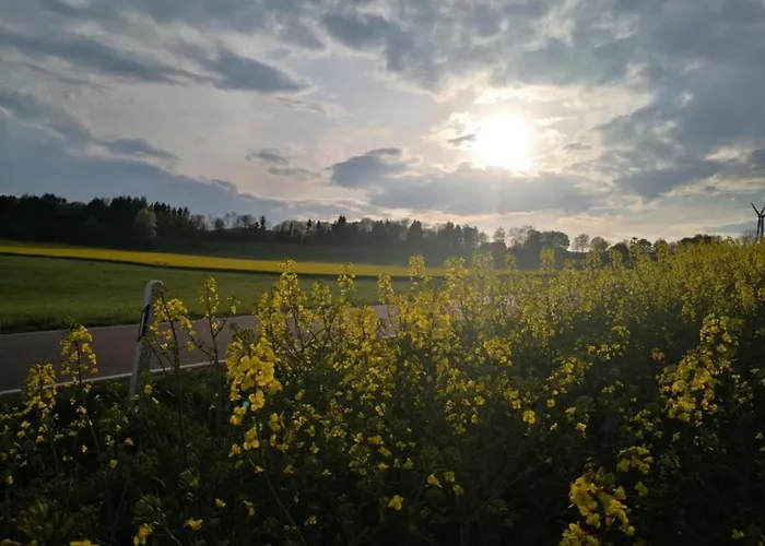 Dağ evi Reinskopf In Der Eifel *