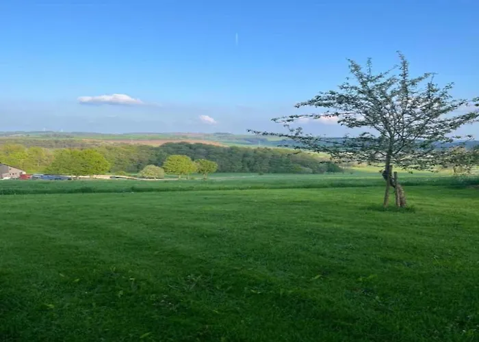 Reinskopf In Der Eifel