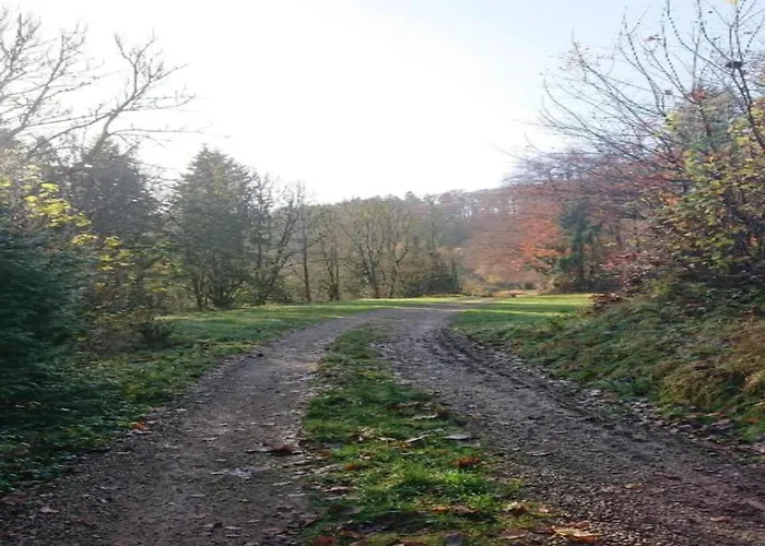 Dağ evi Reinskopf In Der Eifel *