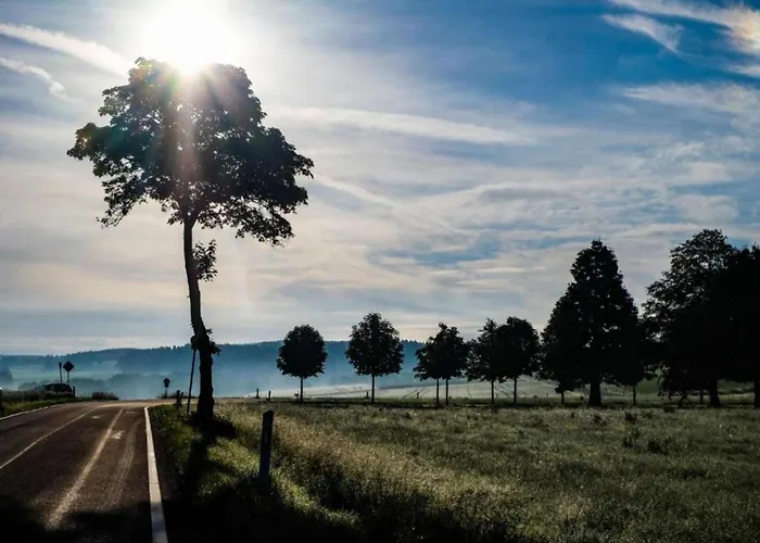 Reinskopf In Der Eifel Dağ evi Schönecken