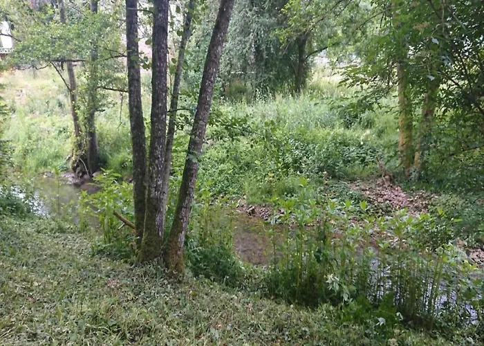 Dağ evi Reinskopf In Der Eifel *