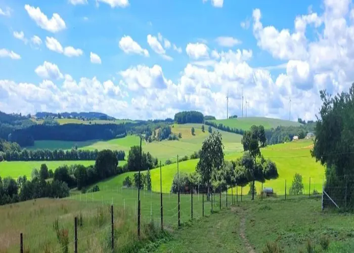 Dağ evi Reinskopf In Der Eifel
