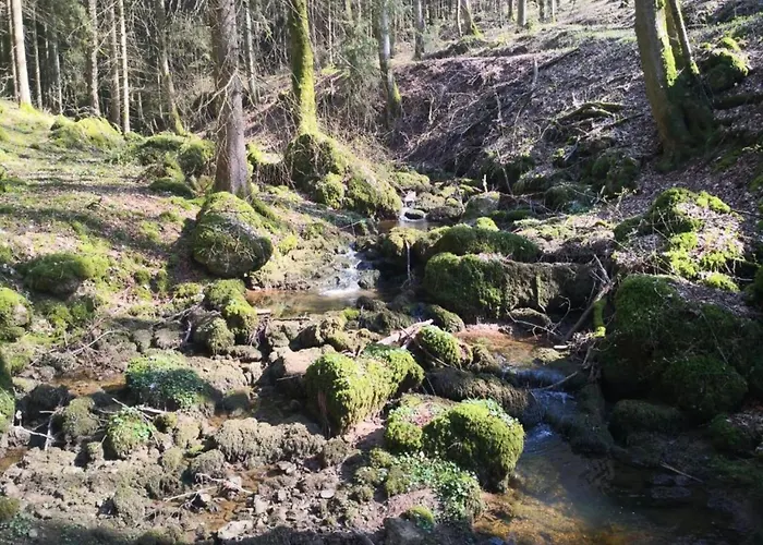 Dağ evi Reinskopf In Der Eifel