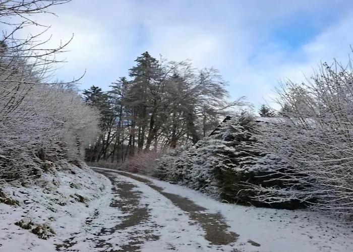 Reinskopf In Der Eifel Dağ evi