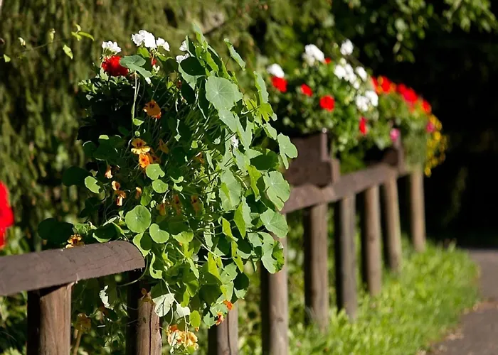 Dağ evi Reinskopf In Der Eifel